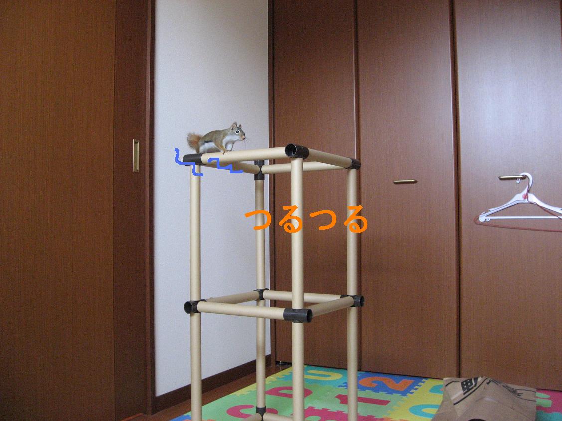 b0138734_11392624.jpg