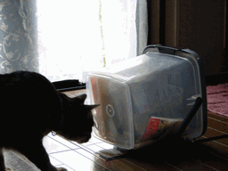 c0136736_16341353.gif