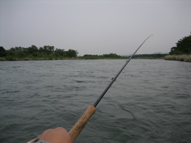 f0168947_11345082.jpg