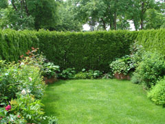 c0127751_8283577.jpg