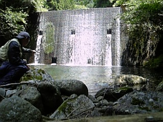 c0133458_2218726.jpg