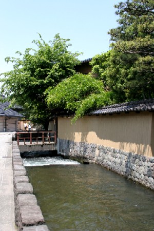 a0007966_8213585.jpg