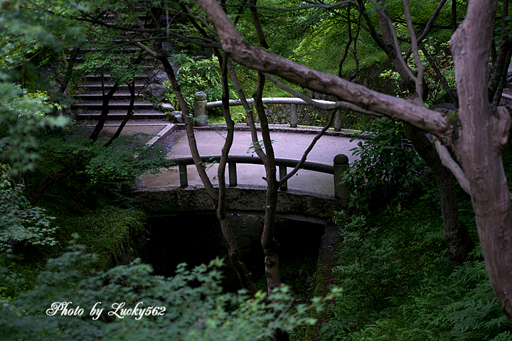 e0002371_9211067.jpg