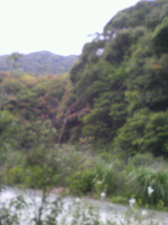 b0129280_0522155.jpg