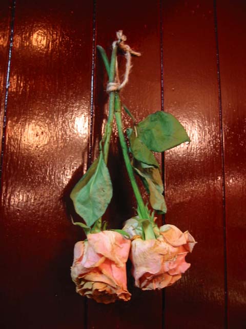 c0158081_55413.jpg