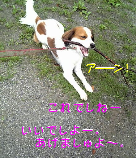 c0075585_0583114.jpg
