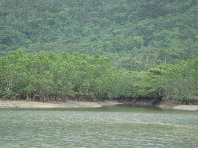 c0139388_024775.jpg
