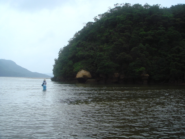 c0139388_0291389.jpg
