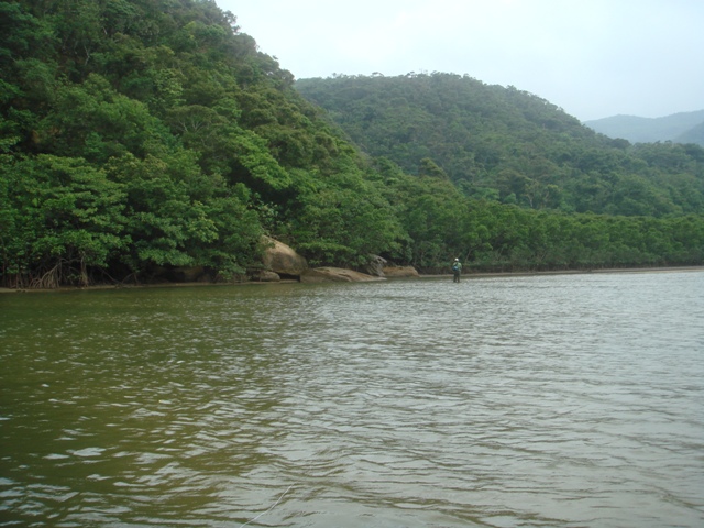 c0139388_0294265.jpg
