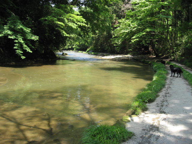 e0140491_18231128.jpg