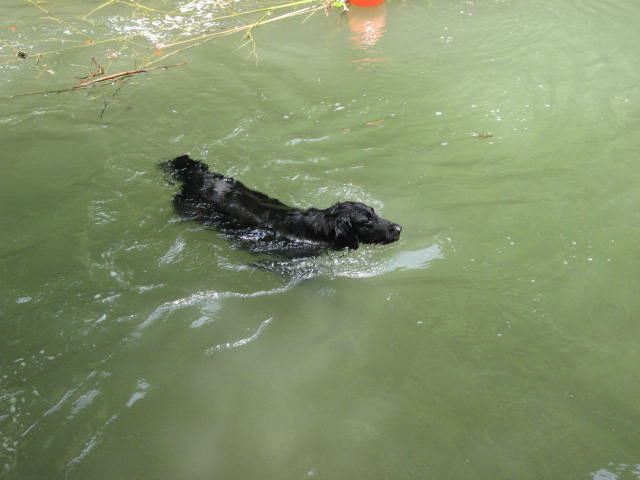 e0140491_18255989.jpg
