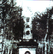 c0049495_15371128.jpg