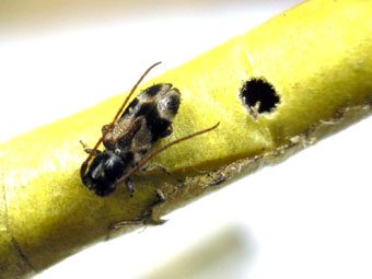 e0083097_20346.jpg