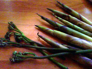 f0008597_8262783.jpg
