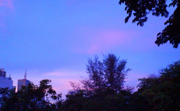e0007801_20485223.jpg