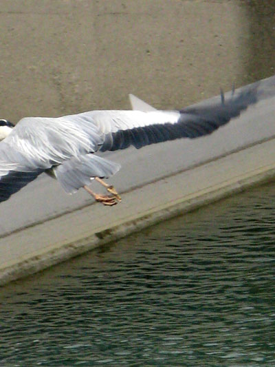 c0011204_13294680.jpg