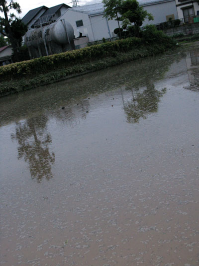 c0011204_2234510.jpg