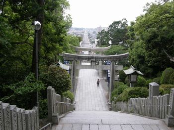 b0061107_222769.jpg