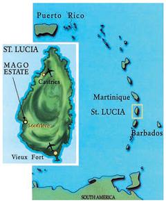 f0124209_4495750.jpg