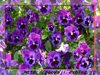 a0026413_16154748.jpg