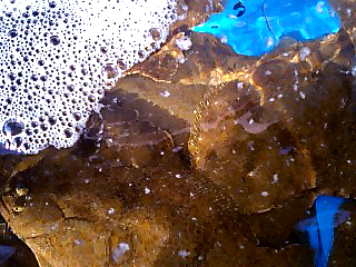 a0101715_12251293.jpg
