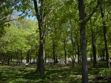 e0144717_4193032.jpg