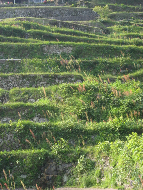 d0147727_9211070.jpg