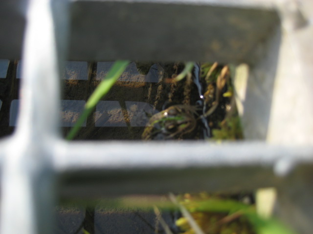 d0147727_9221465.jpg