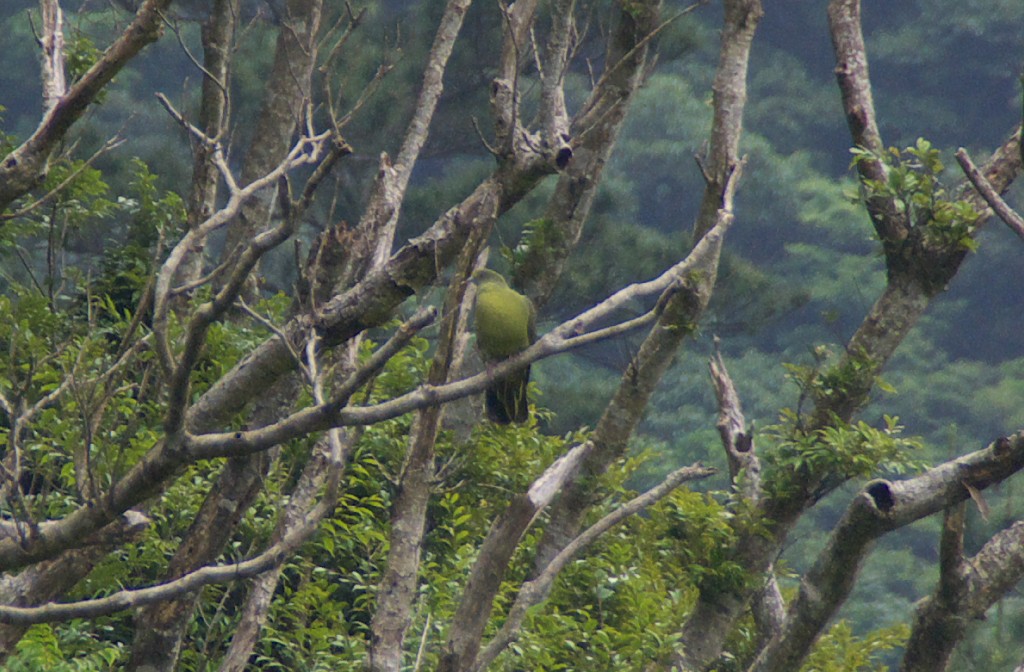 d0053930_6134741.jpg