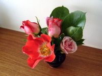 f0165831_541552.jpg
