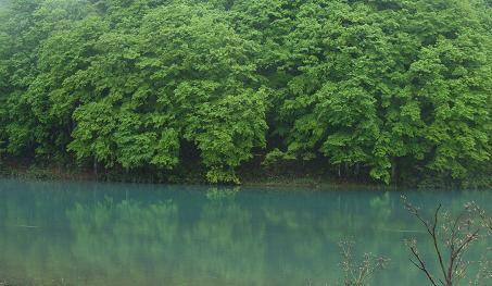 f0118332_2041210.jpg