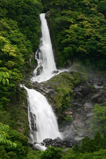 e0083238_22353618.jpg
