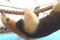 d0039443_11582473.jpg