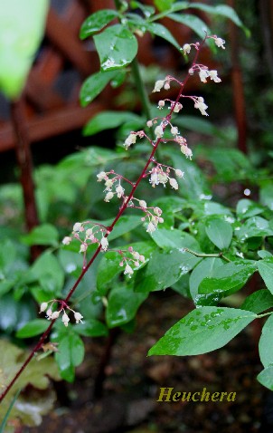 f0146045_18213177.jpg