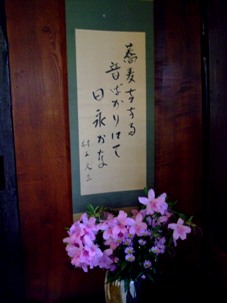 d0023346_1145532.jpg