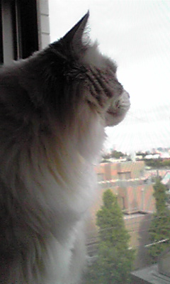 a0023647_17313922.jpg