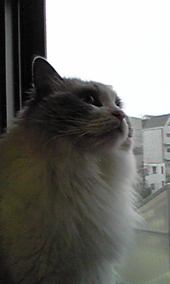 a0023647_1732350.jpg