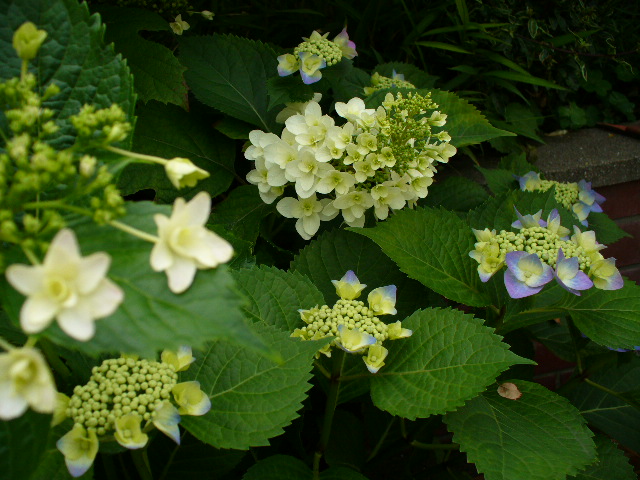 f0074659_23155827.jpg