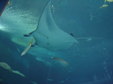 d0076760_15135570.jpg