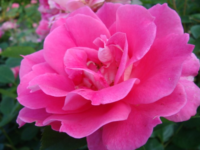 b0061261_23294229.jpg