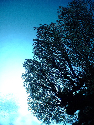 d0102664_23221998.jpg