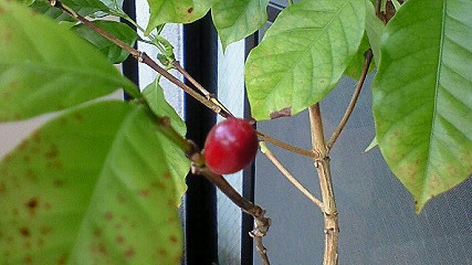 c0018666_10353812.jpg