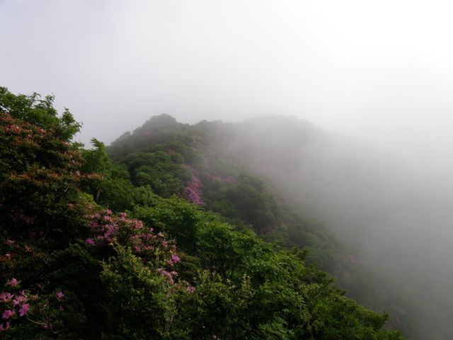 c0042869_1513235.jpg