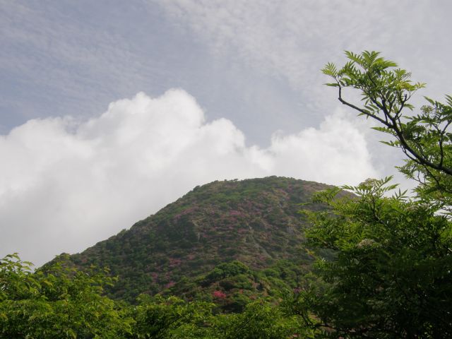 c0042869_15145185.jpg