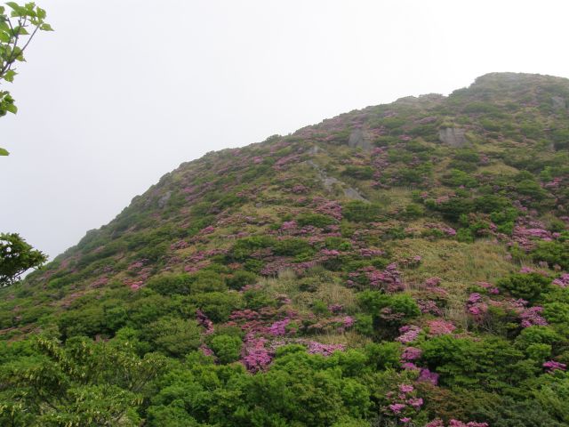 c0042869_1525826.jpg