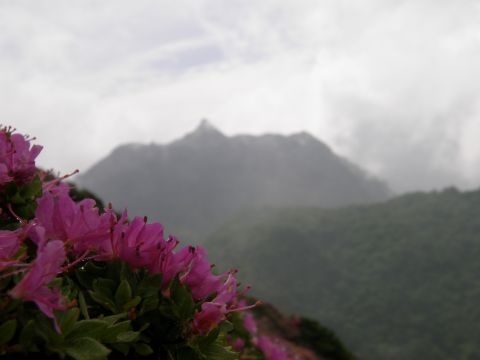 c0042869_1552953.jpg