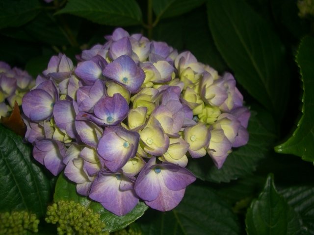 f0137275_5151876.jpg
