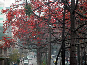 f0138875_1404618.jpg