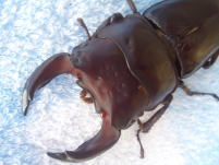 c0150582_22405971.jpg