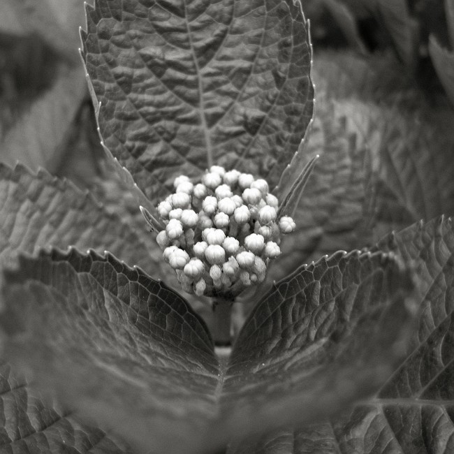 f0167482_23184033.jpg